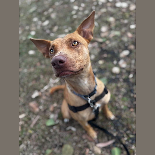 Photo of Bonny