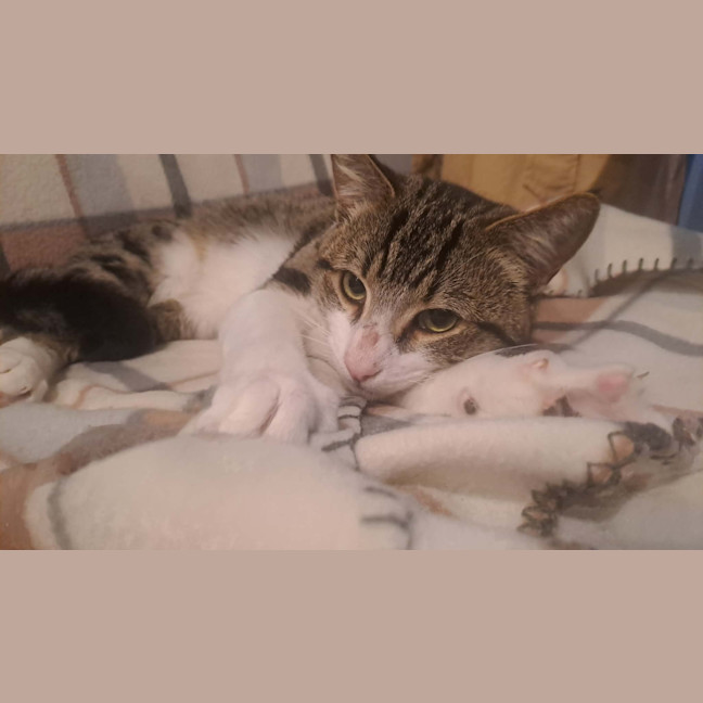 Photo of Billy