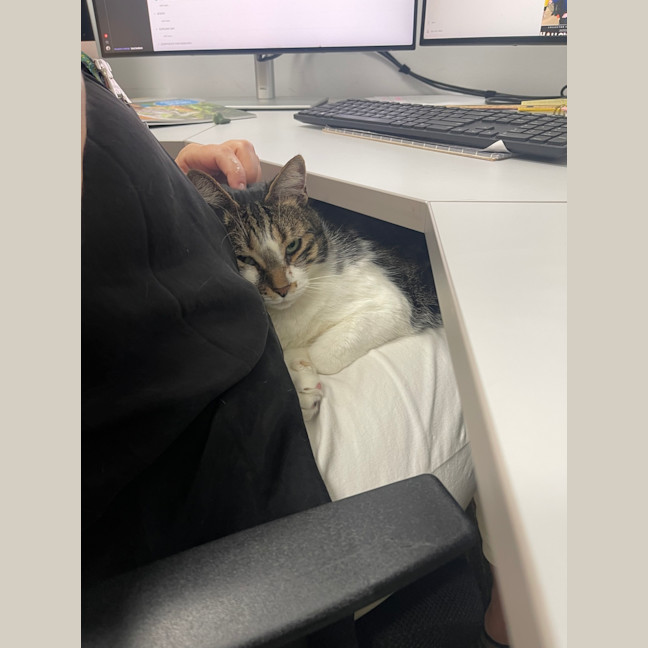 Photo of Extra