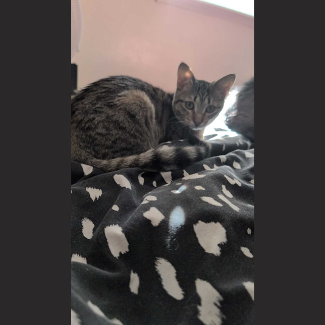 Photo of Angel