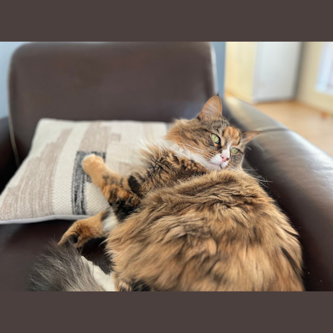 Photo of Ruby