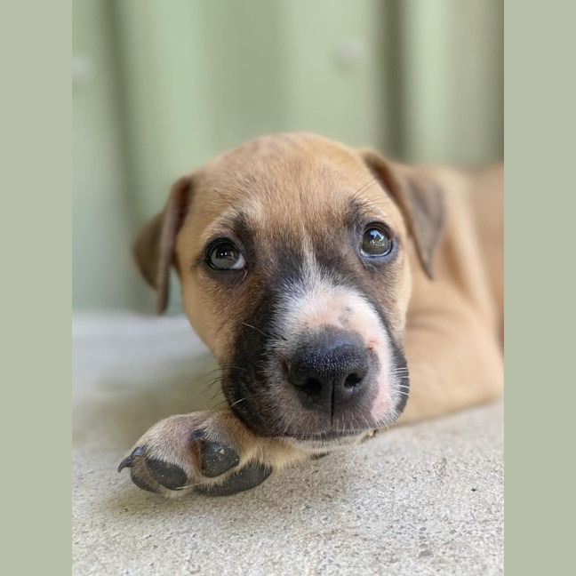 Photo of Ketchup
