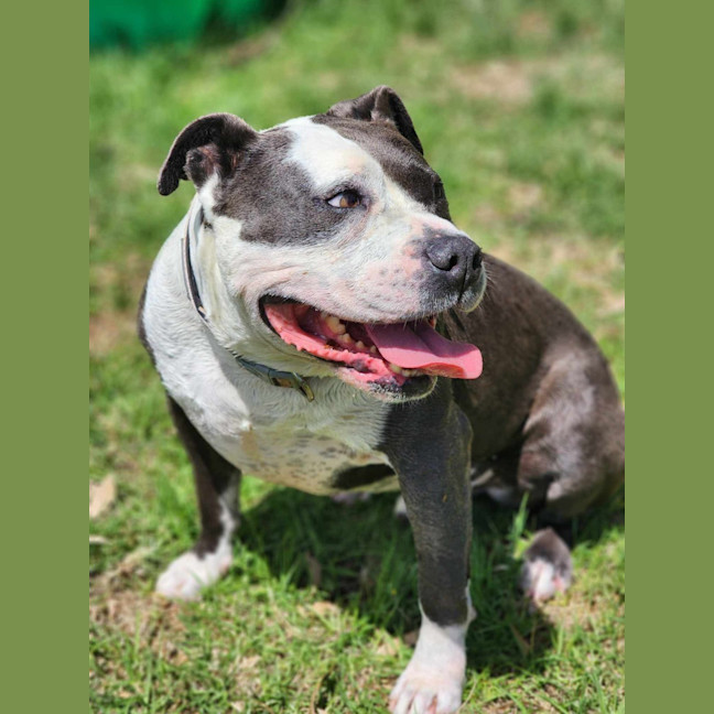 Photo of 🥊 Floyd 5607 🥊