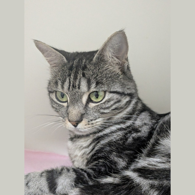 Photo of 💫 Marnie 6898 💫