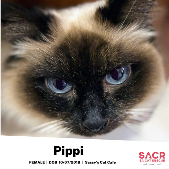 Photo of Pippi