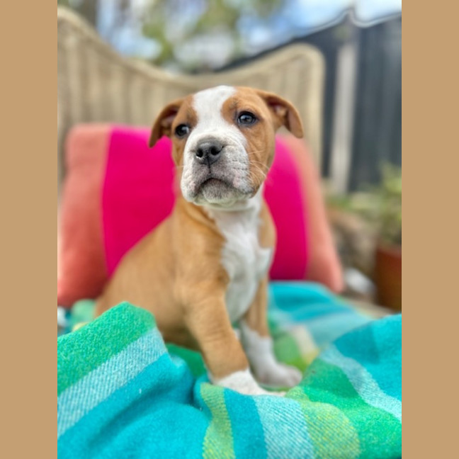 Photo of Swatch