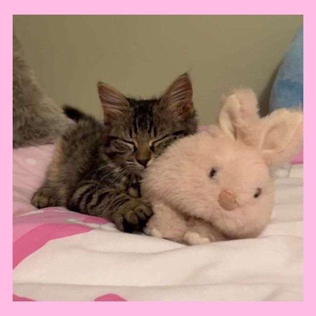 Photo of Pocket