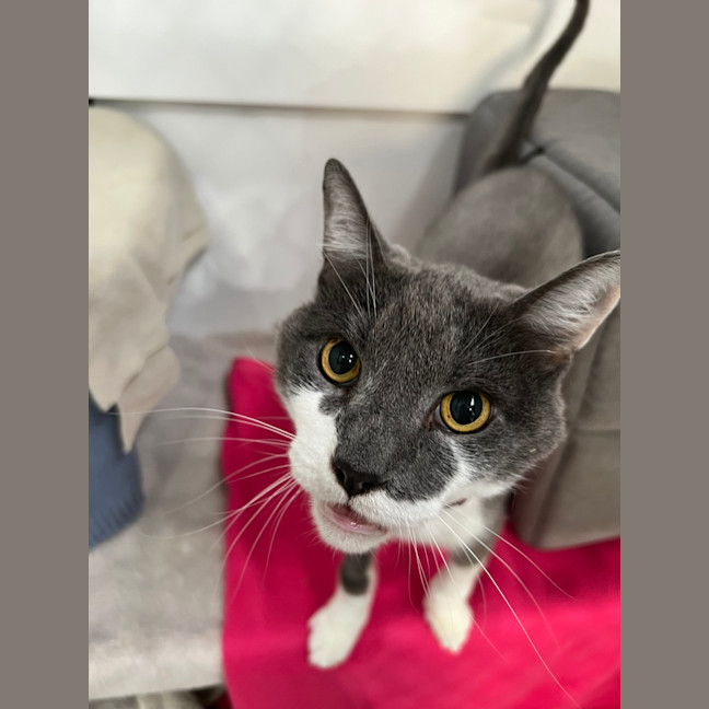 Photo of Principal Flutie 