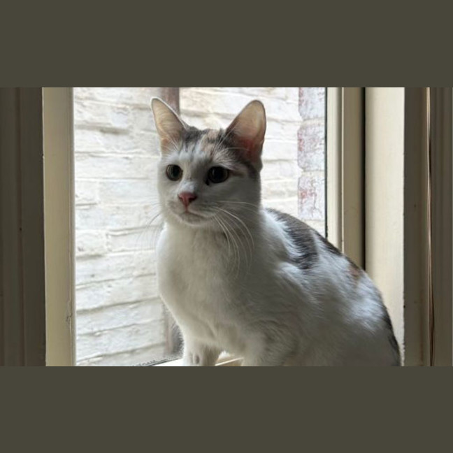 Photo of Mabel