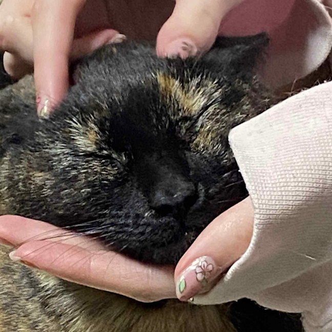 Photo of Kallie 🍃💕