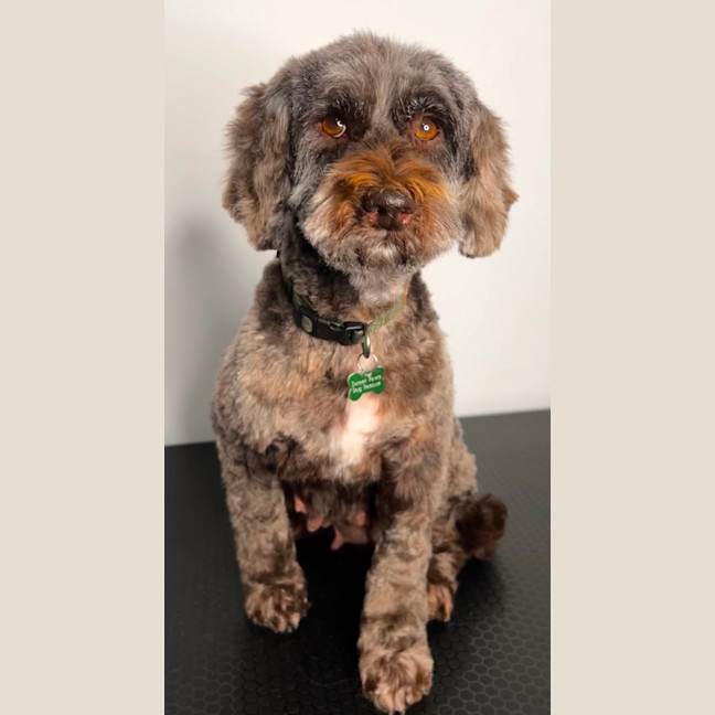 Photo of Hazel