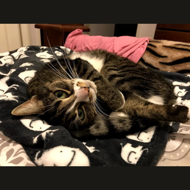 Photo of Jelly