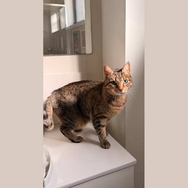 Photo of Luna