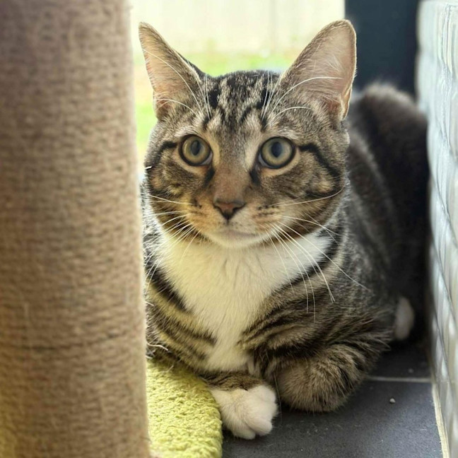 Photo of 12433   Parker