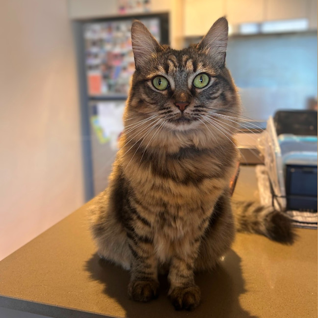 Photo of Rhea