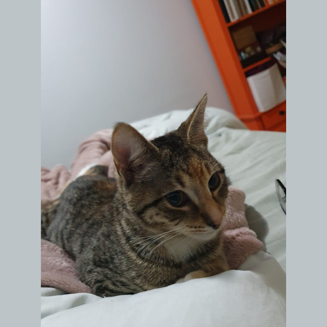 Photo of Mina