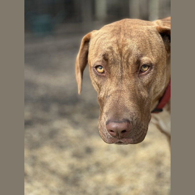 Photo of Jax