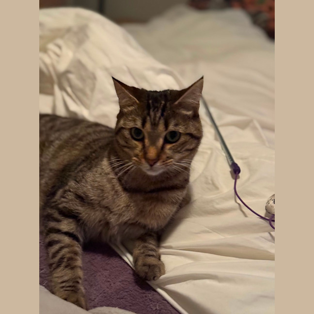 Photo of Charlie 