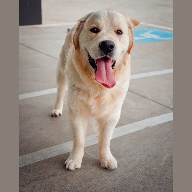 Photo of Walter (Was Cookie)