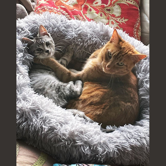 Photo of Rufus And Pandora