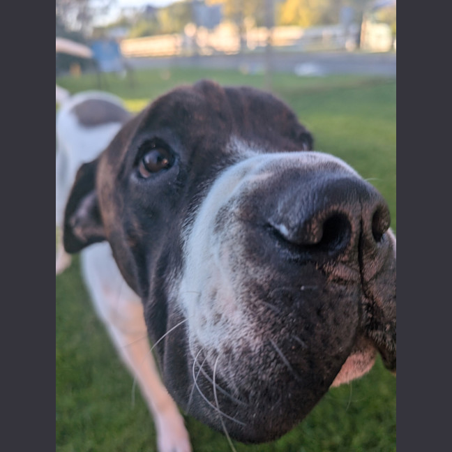 Photo of Charlie