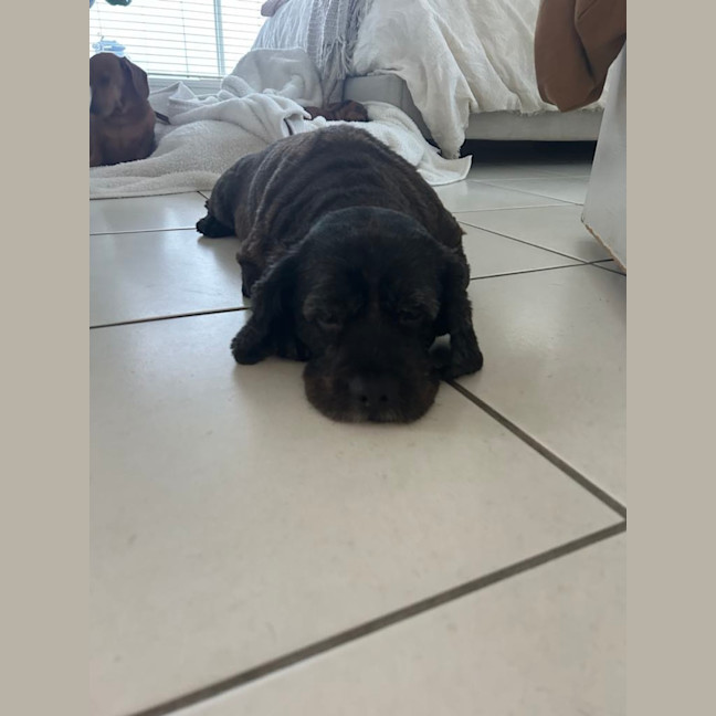 Photo of Lucy And Stanley