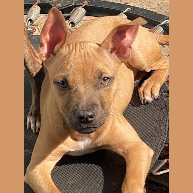 Photo of Gretel