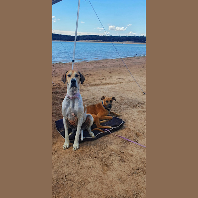 Photo of Gus