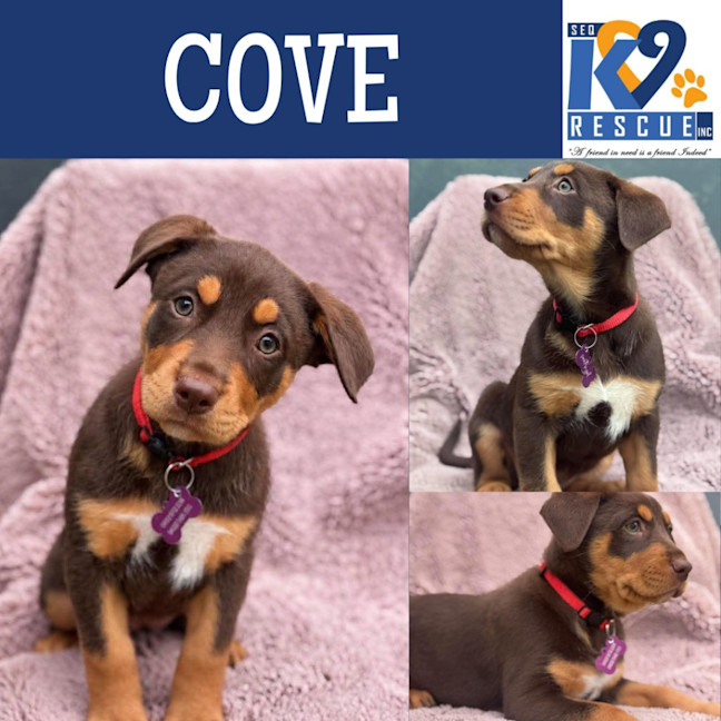 Photo of Cove
