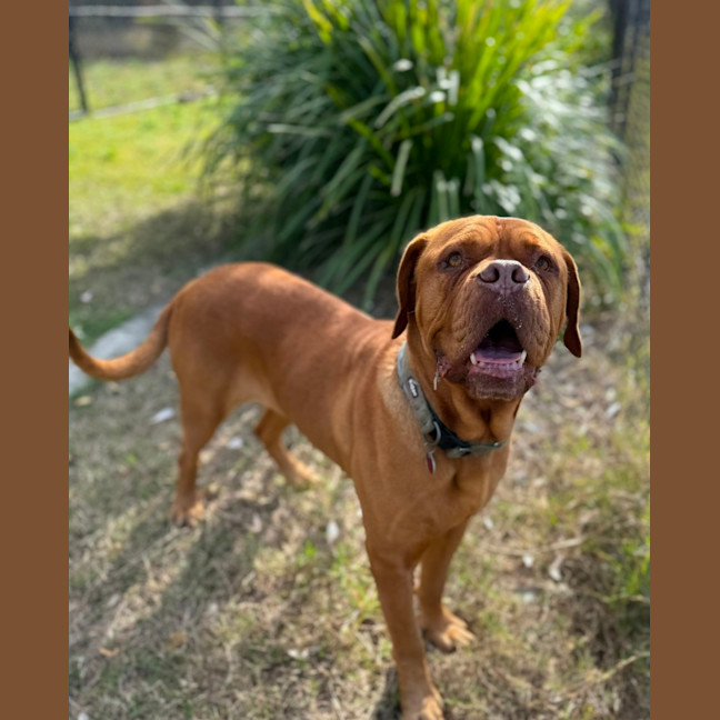 Photo of Lilly (7072)