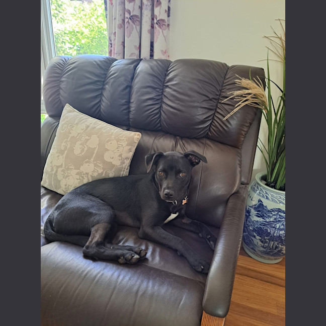 Photo of Zara