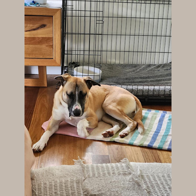 Photo of Shilo