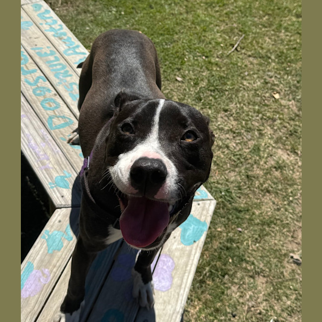 Photo of Tank