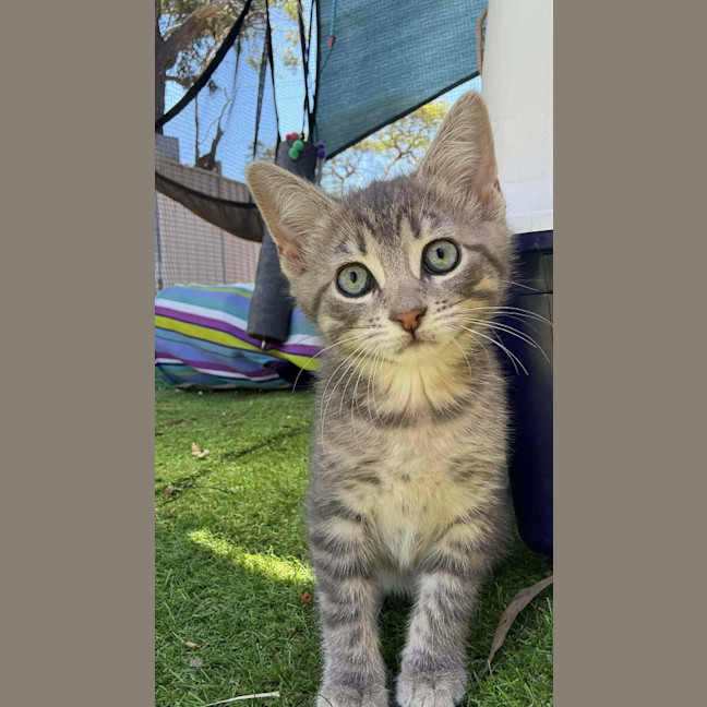 Photo of Humpty Dumpty