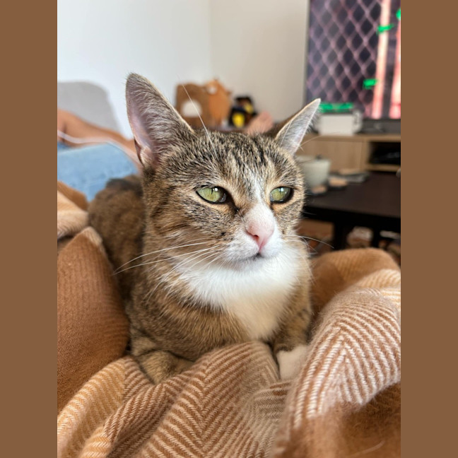 Photo of Trudy
