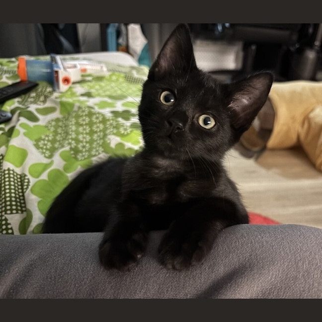 Photo of Terry