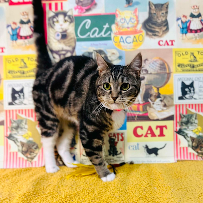 Photo of Taylor   Located In Preston