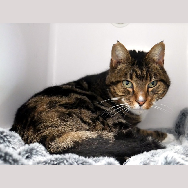 Photo of Lex Sta013973