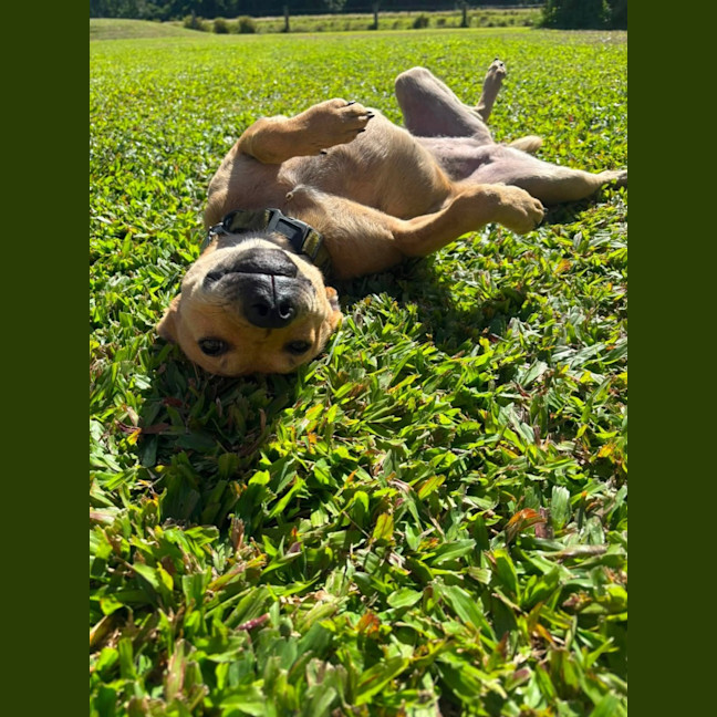 Photo of Mash