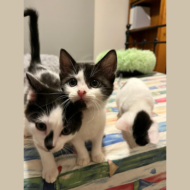 Photo of Adelina & Flora