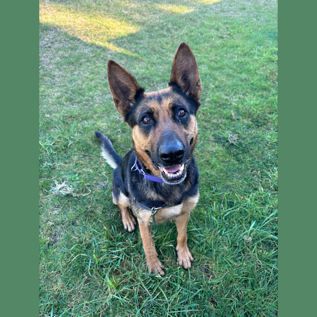 Photo of Luna