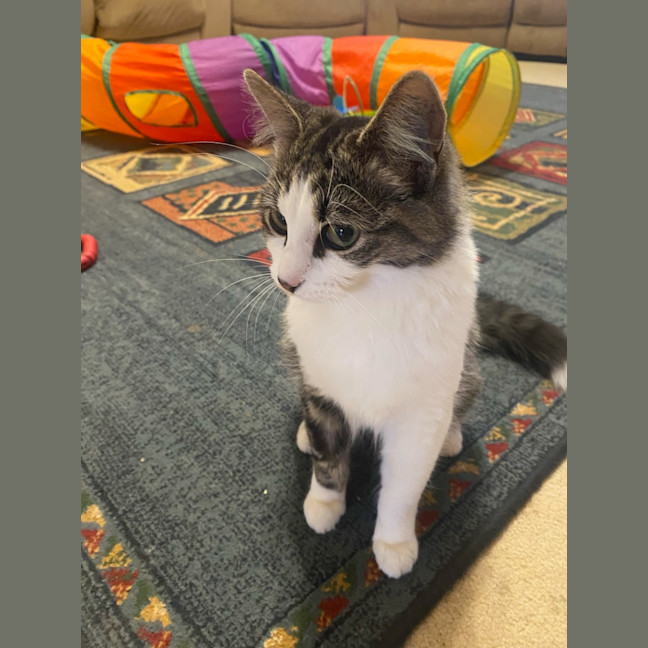 Photo of Mabel 