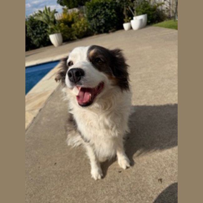 Photo of Bella 
