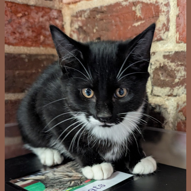 Photo of Buster