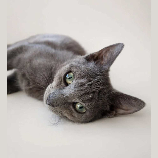 Photo of Tobias
