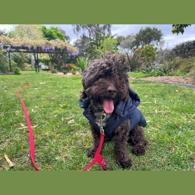 Photo of Bertie Kumara