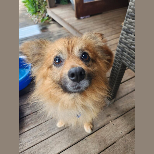 Photo of Freddy