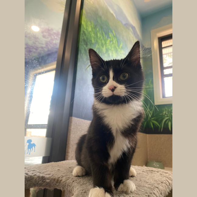 Photo of Bashar Tarr