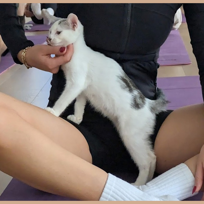 Photo of Milk Bottle