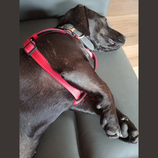Photo of Heidi